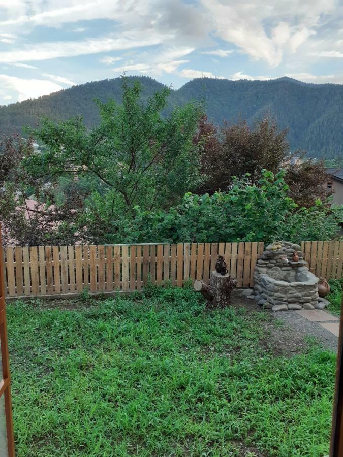 Ano'A Apartman Borzsomi Kültér fotó