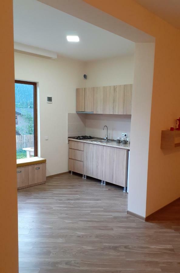 Ano'A Apartman Borzsomi Kültér fotó