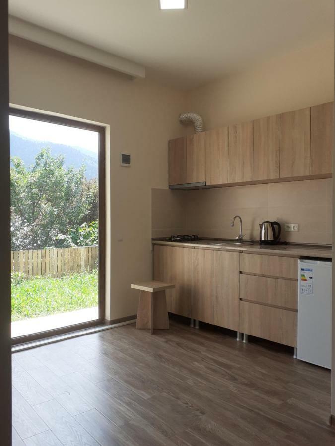 Ano'A Apartman Borzsomi Kültér fotó